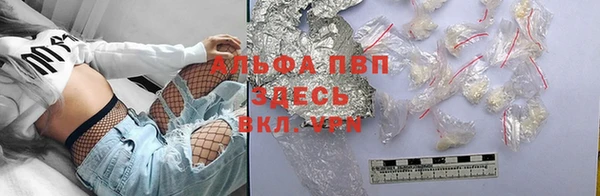 ешки Гусев