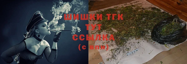ешки Гусев