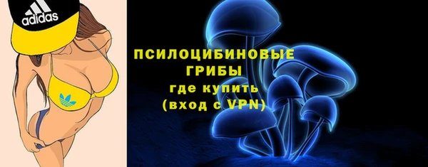 герыч Дмитровск