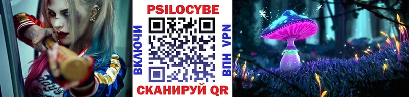 Псилоцибиновые грибы мицелий  Заинск 
