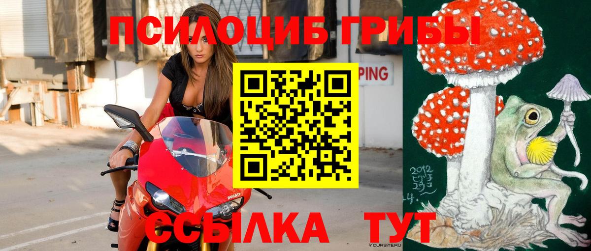 Галлюциногенные грибы мицелий  Вход с VPN  Заинск  Галлюциногенные грибы Magic Shrooms 
