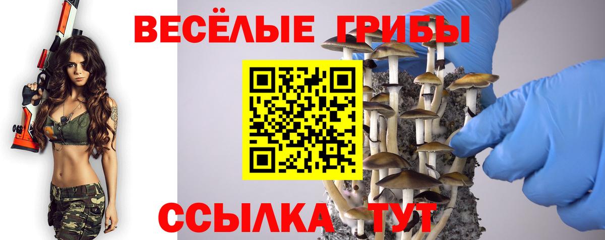 Псилоцибиновые грибы мухоморы Заинск